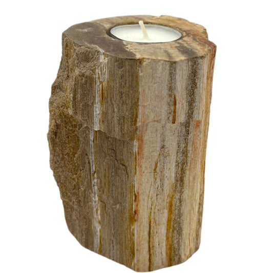 Petrified Wood Candle Holder - Single Tall