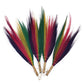 Set 4 - Pampas Broom - Rainbow Colours