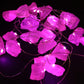 Gemstone Enchantment Lights - Rose Quartz