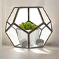 Glass Terrarium - Large Octagon